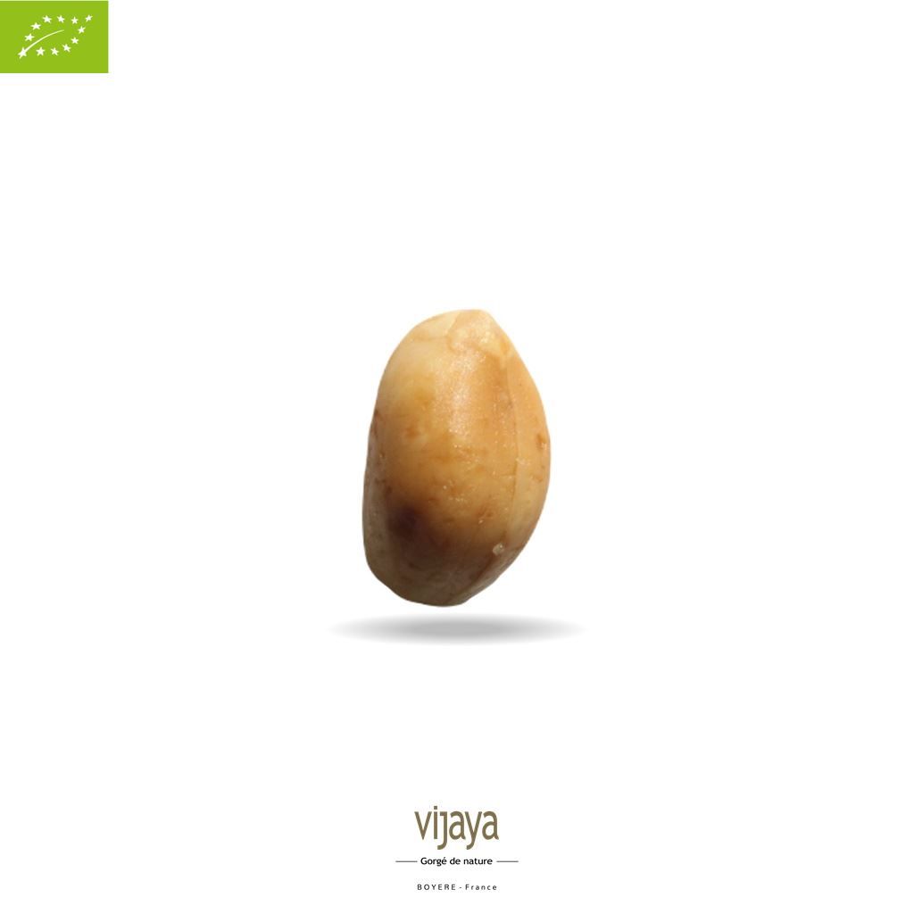 Vijaya